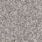 Anderson Tuftex Terra Nova Carpet in Platinum, , large