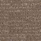 Anderson Tuftex Sneak Peek Carpet in Caffeine, , large