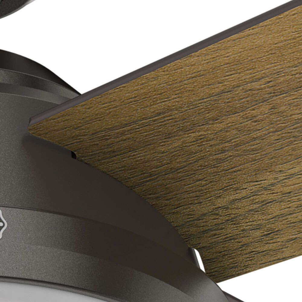 Hunter Dempsey 52&quot; Ceiling Fan with Lights in Noble Bronze, , large