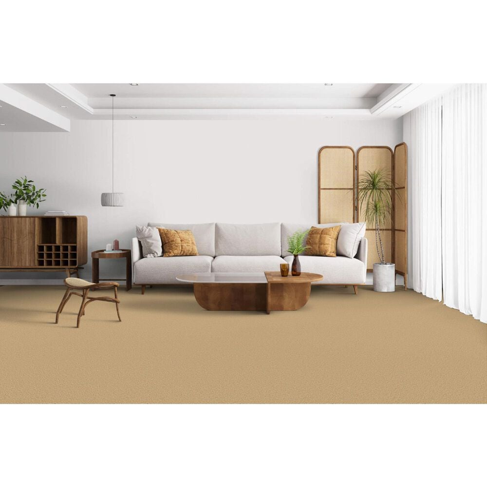 Masland Roadster Carpet in Charming, , large