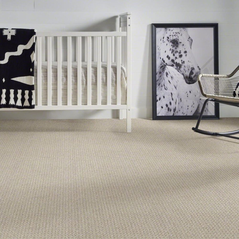 Anderson Tuftex Fetch Carpet in Briarwood, , large