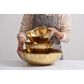 Pampa Bay 8.5" Medium Deep Bowl in Gold, , large