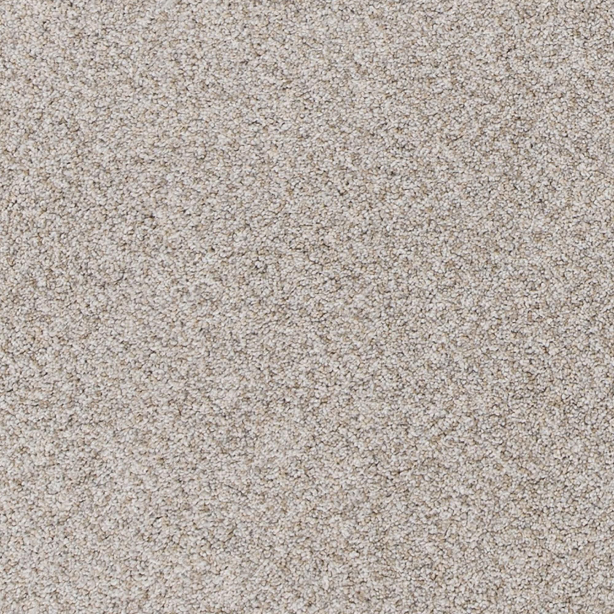 Mohawk Canine Comfort Carpet in Crystalline