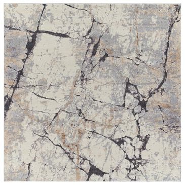 Surya Tuscany TUS-2314 7"10" Square Cream, Khaki, Gray and Charcoal Area Rug, , large