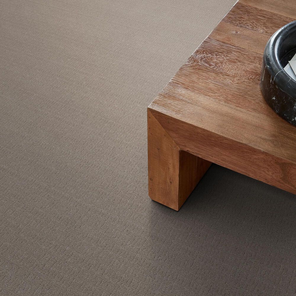 Anderson Tuftex Vignette Carpet in Greige, , large