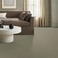 Anderson Tuftex Charismatic Carpet in Balanced, , large