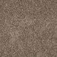 Mohawk Quality Life Carpet in Cascade, , large