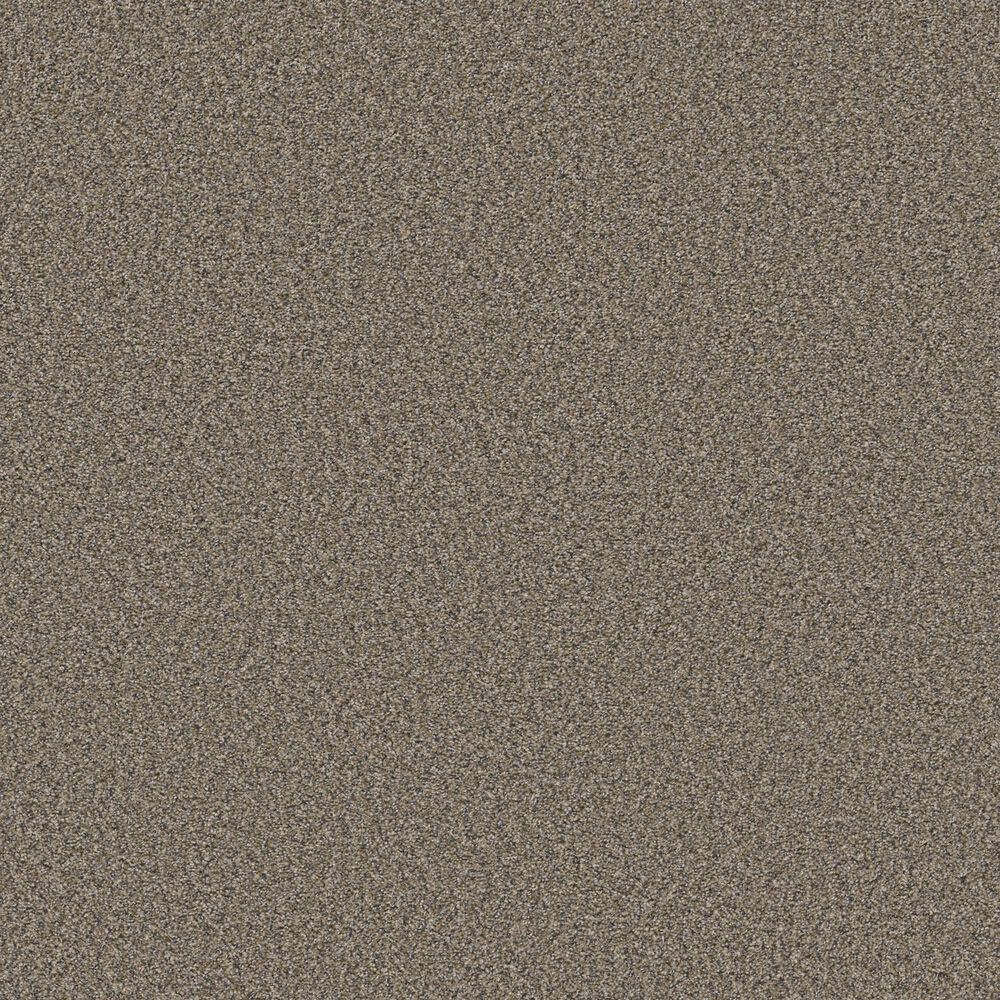 Shaw Always Right II Carpet in Woodcraft, , large