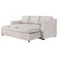 Lifestyle Solutions Haddington Stationary Sleeper Sofa in Linen, , large