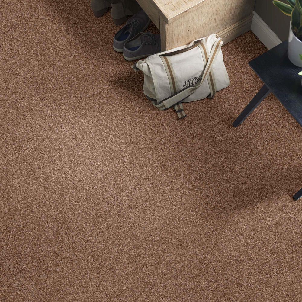 Anderson Tuftex Caress Cozy Harbor I Carpet in Sunbaked, , large