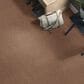 Anderson Tuftex Caress Cozy Harbor I Carpet in Sunbaked, , large