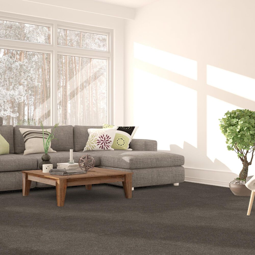 Dream Weaver Serene II Carpet in Ridgeview, , large