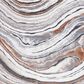Safavieh Cyrus Shag CYR134F CYRUS SHAG 8" x 10" Grey and Rust Area Rug, , large