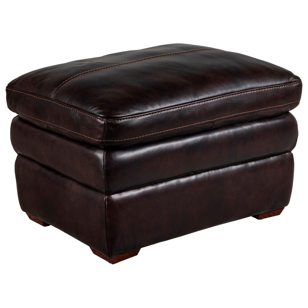 Bordeaux &amp; Co Stationary Leather Chair and Ottoman Set in Berlin Dark Brown, , large