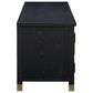 Steve Silver Furniture Yves 64" TV Stand in Ebony and Brushed Brass, , large