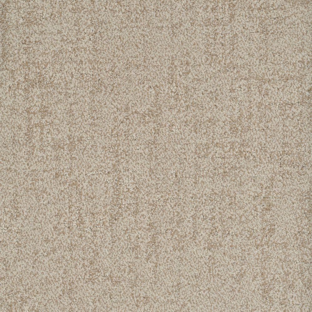 Dixie Home Genuine Carpet in Probable, , large