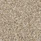 Mohawk Purrsonality III Carpet in Soapstone, , large
