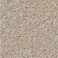 Shaw Las Cruces Carpet in Marble, , large