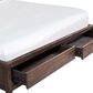 Urban Home Boracay Queen Upholstered Wingback Storage Bed in Wild Oats Brown, , large