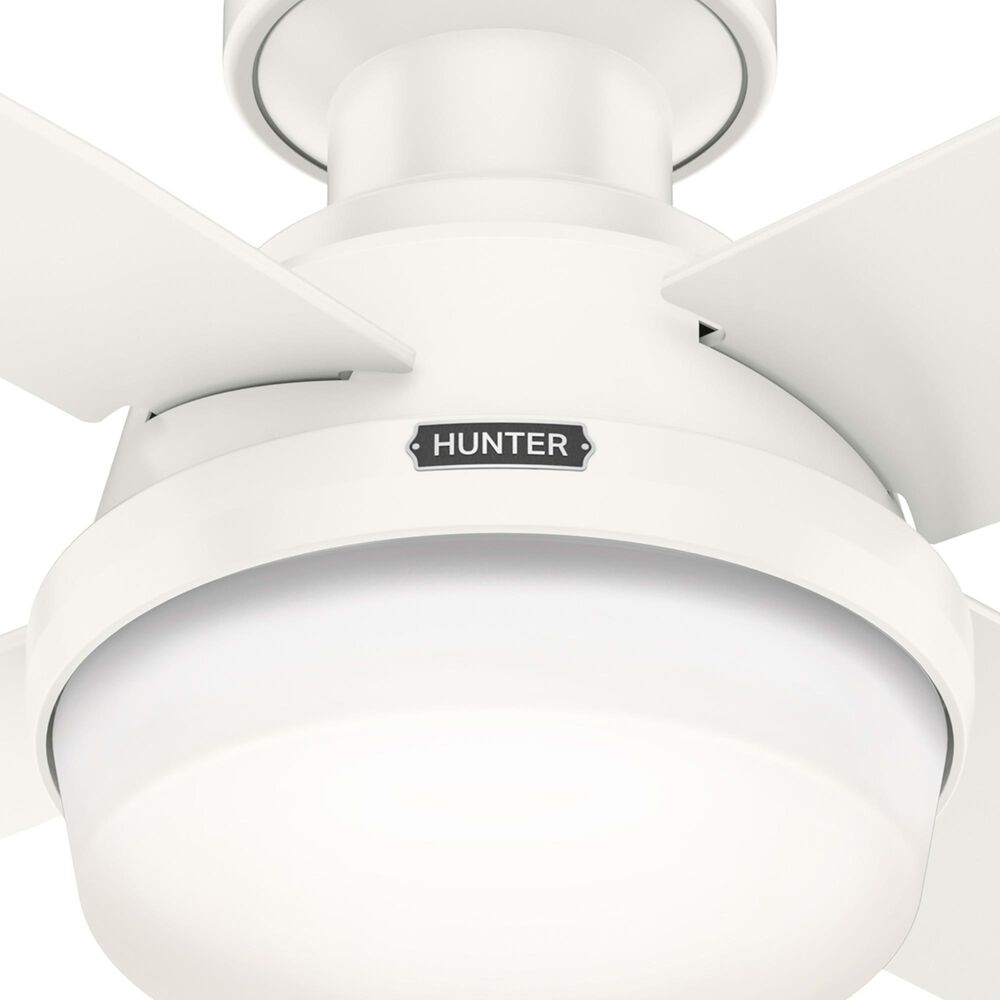 Hunter Dempsey Low Profile 44&quot; Ceiling Fan with LED Lights in Fresh White, , large