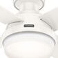 Hunter Dempsey Low Profile 44" Ceiling Fan with LED Lights in Fresh White, , large