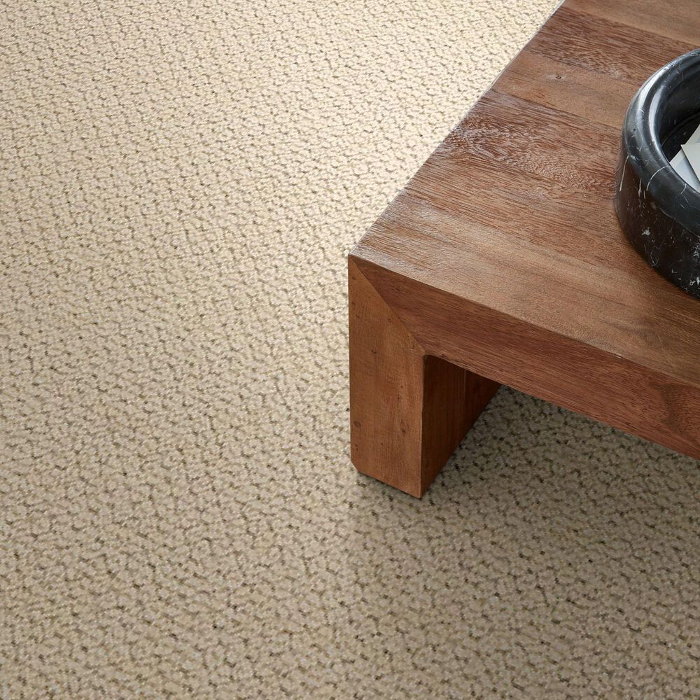 Anderson Tuftex Mera Carpet in Beach Haven, , large
