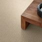 Anderson Tuftex Mera Carpet in Beach Haven, , large