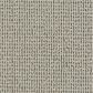 Dixie Home Oak Glen Carpet in Timber, , large