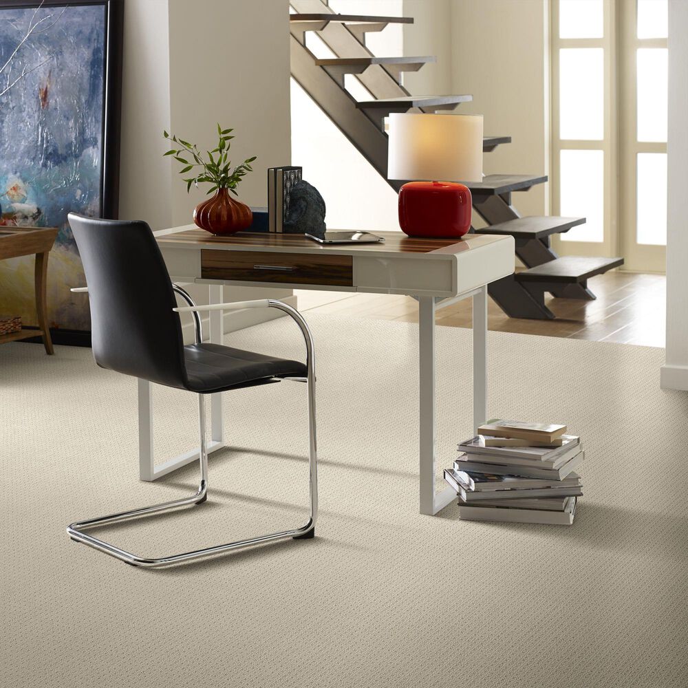 Anderson Tuftex San Lucas Carpet in Fleece, , large