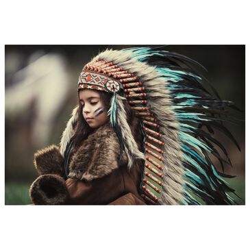 Timberlake Chief Of My Dreams 12" x 19" Canvas Art in Black/Tan/Green, , large