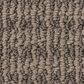 Shaw Chic Elevation Carpet in Raw Wood, , large