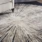 Nourison Cosmopolite CGS21 9" x 12" Noir Area Rug, , large