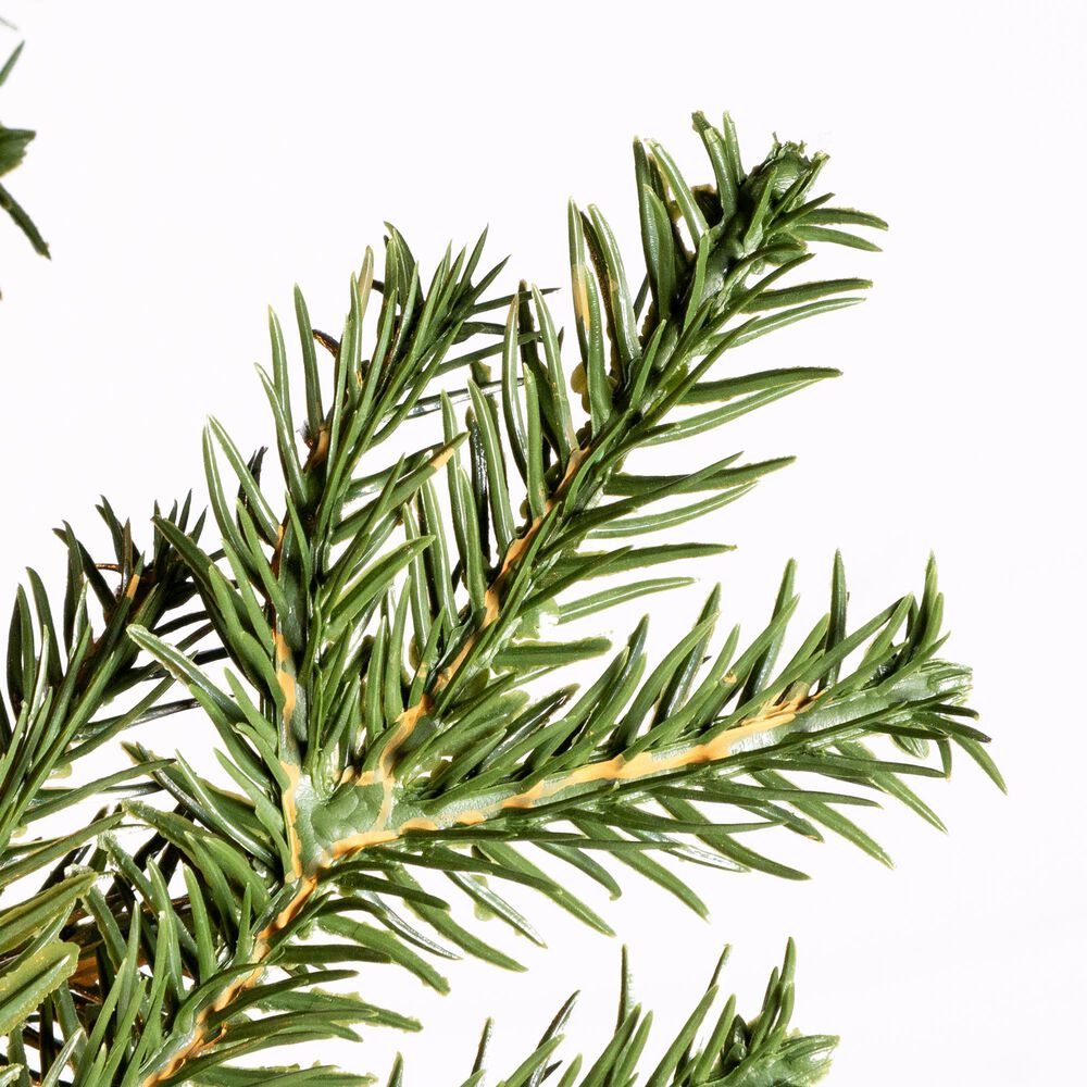 The Gerson Company 4&#39; Pre-Lit Artificial Natural Cut Narrow Jackson Pine with White Lights in Green, , large
