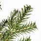 The Gerson Company 4" Pre-Lit Artificial Natural Cut Narrow Jackson Pine with White Lights in Green, , large