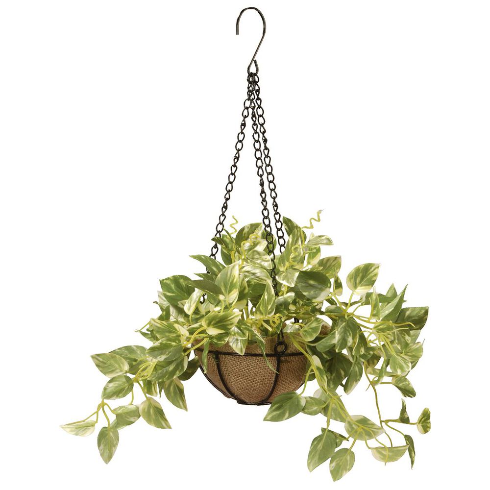 National Tree 9" Pothos Plant in Hanging Basket, , large