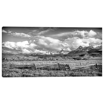 Rocky Mountain Publishing Still Standing Strong 20" x 40" Wall Art in Black and White, , large