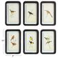 Creative Coop Heirloom 7" x 11" Wall Decor with Floating Bird Art in Multicolor (Set of 6), , large