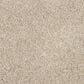 Mohawk Refined Retrievers II Carpet Crystalline, , large