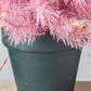 The Gerson Company 2" Potted Artificial Christmas Tree with Warm White LED Lights in Pink, , large
