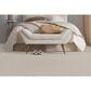 Masland Remarkable Carpet in Masonry, , large