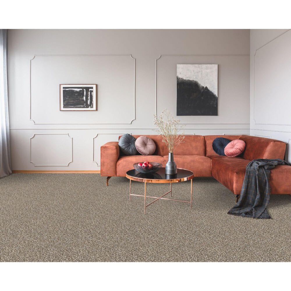 Dixie Home Simplicity Carpet in Yosemite, , large