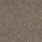 Shaw Barracan Classic IV Carpet in Mesquite, , large