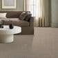 Anderson Tuftex Discover Carpet in Fresh Bread, , large