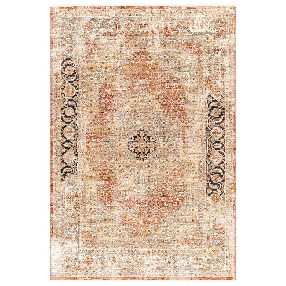 Surya Aspendos 12" x 15" Black, Burgundy, Burnt Orange, Charcoal, Cream, Dark Blue, Denim, Dusty Pink, Light Gray and Must Area Rug, , large