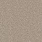 Dream Weaver Cape Cod Carpet in Ash, , large