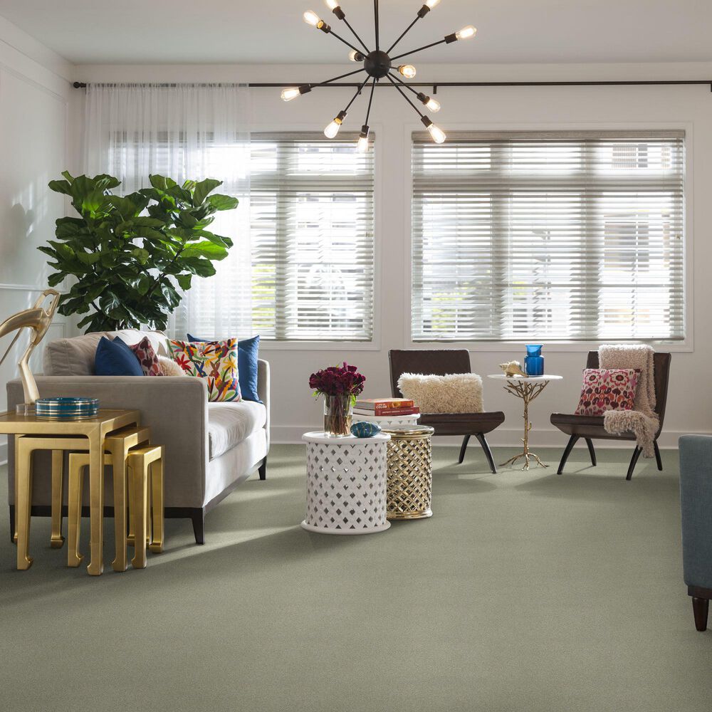 Shaw Find Your Comfort NS II Carpet in Willow Tree, , large