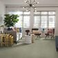 Shaw Find Your Comfort NS II Carpet in Willow Tree, , large