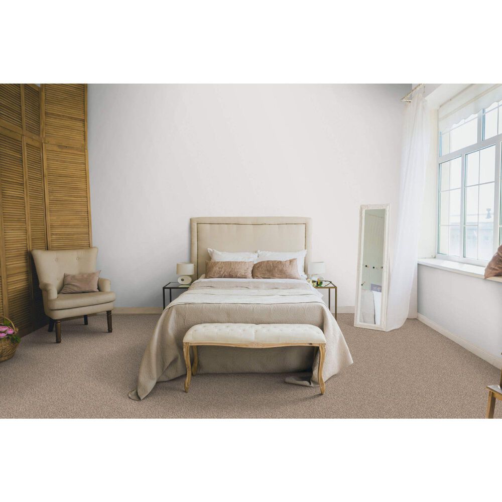 Dixie Home Simplicity Carpet in Statement, , large