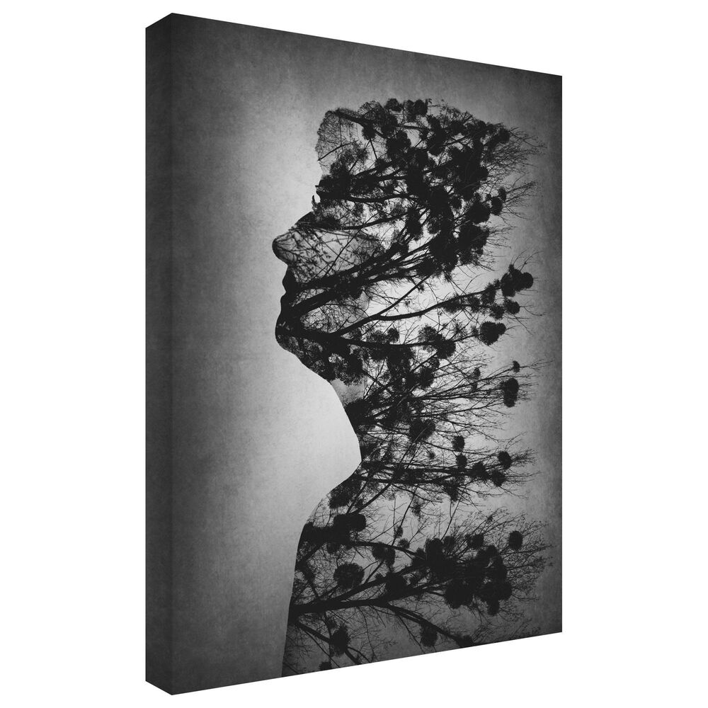 Timberlake Essence Of Life 32&quot; x 24&quot; Canvas Art in Grey/Black/White, , large