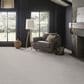 Anderson Tuftex Delight Carpet in Birch Bark, , large